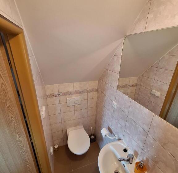 Pensjonat Penzion U Vorlíčků