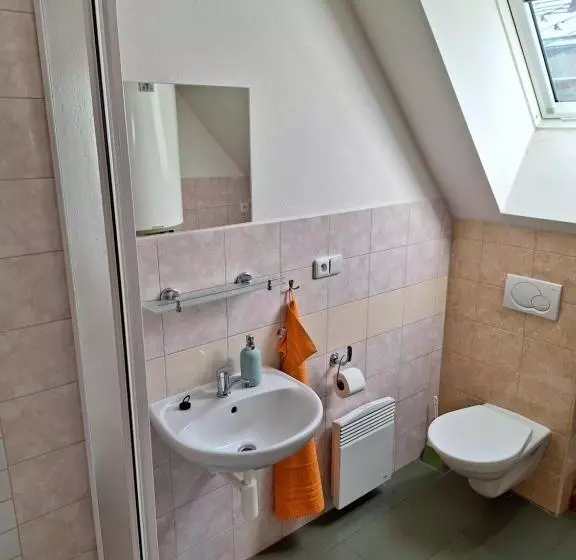 Majatalo Penzion U Vorlíčků