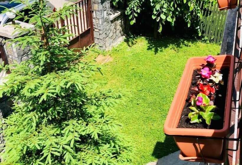 Pensiune & Restaurant Kalinder