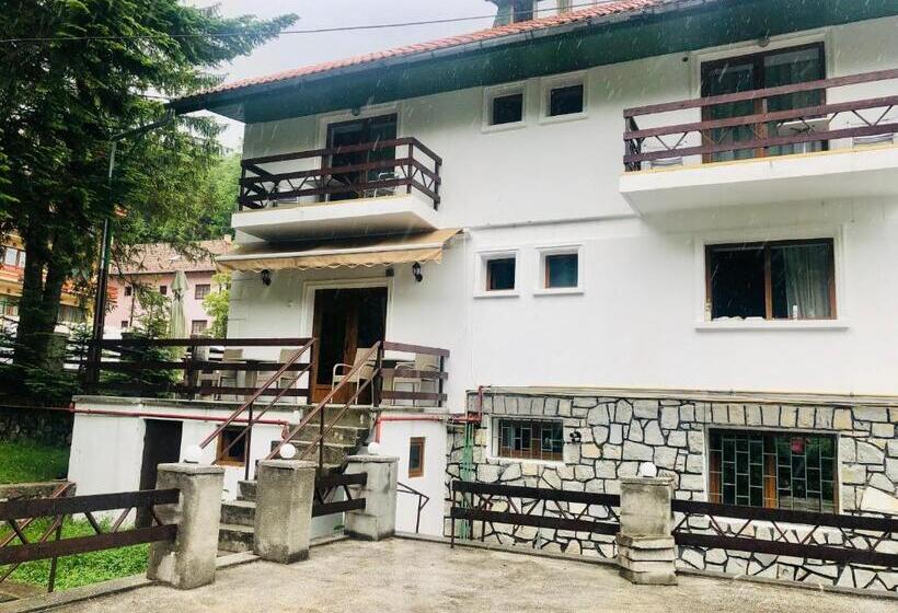 Pensiune & Restaurant Kalinder