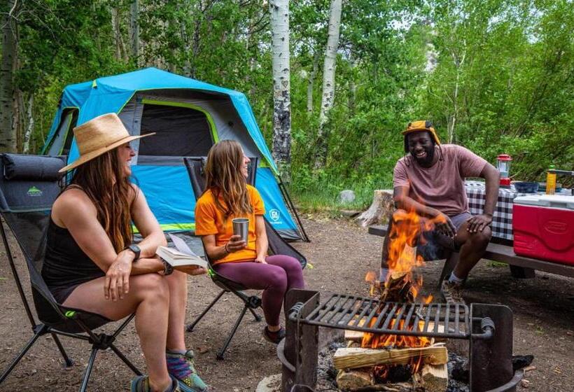 264 Beautiful Spacious Pet Friendly Townhome