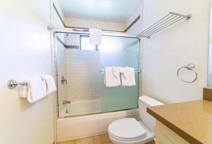 264 Beautiful Spacious Pet Friendly Townhome