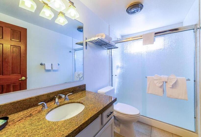 264 Beautiful Spacious Pet Friendly Townhome