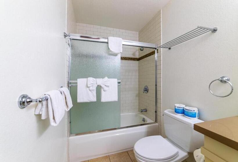 264 Beautiful Spacious Pet Friendly Townhome