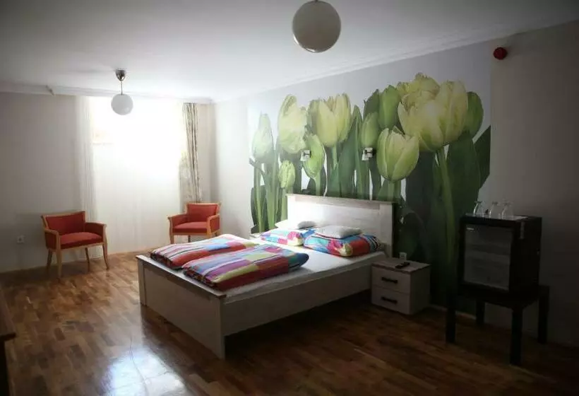 Aamiaismajoitus (B&B) V8 Kelemen Panzió