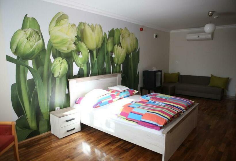 Bed and Breakfast V8 Kelemen Panzió