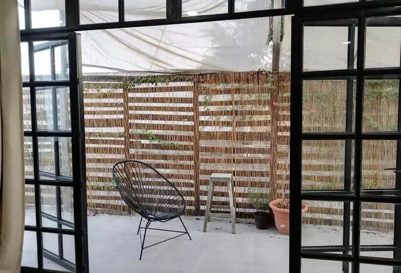 Casa Mango Amplia Con Alberca Y Cerca De La Media Luna !!!