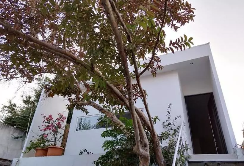 Casa Mango Amplia Con Alberca Y Cerca De La Media Luna !!!