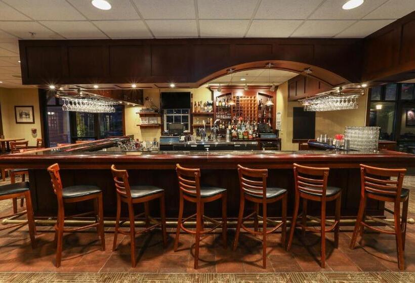 Kaatskill Mountain Club And Condos By Hunter Mountain