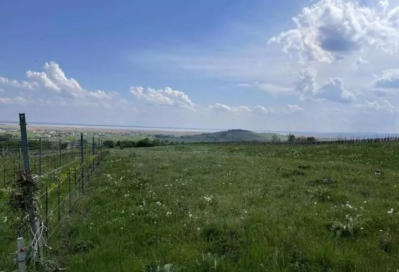 Schlafen In Der Winzerie