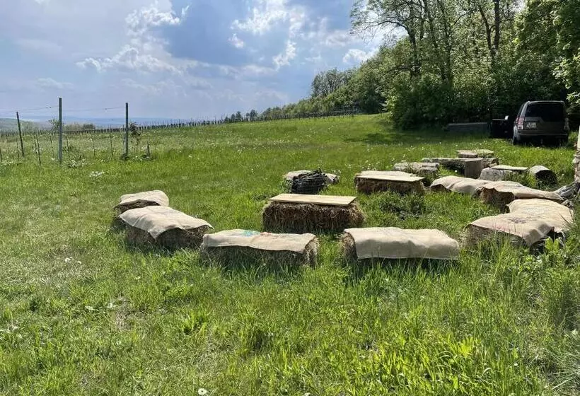 Schlafen In Der Winzerie