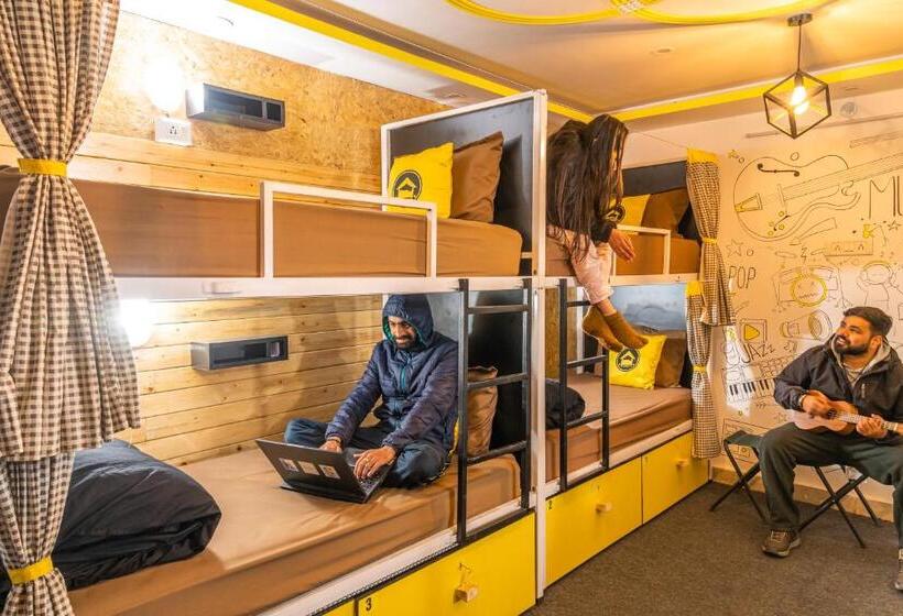 Lushtree Backpackers Hostel & Cafe