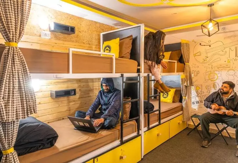 Lushtree Backpackers   Hostel & Cafe