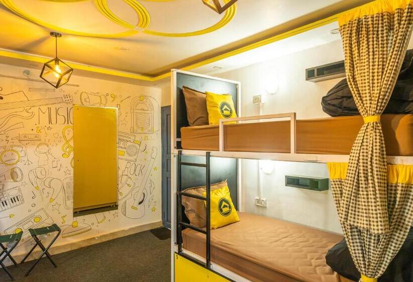 Lushtree Backpackers Hostel & Cafe