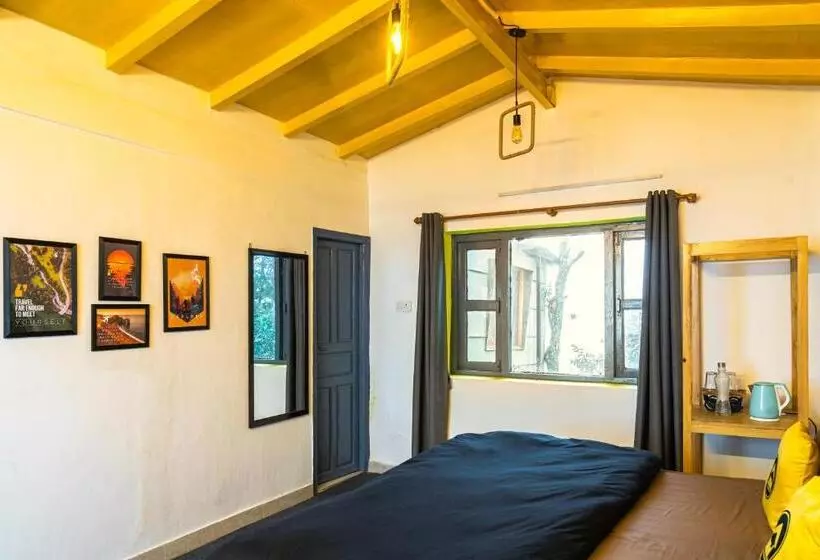 Lushtree Backpackers   Hostel & Cafe