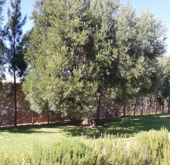 Bed and Breakfast Dar Yanis