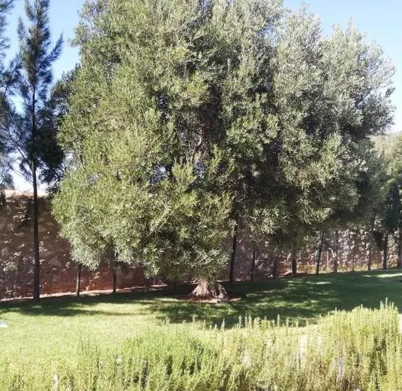 Aamiaismajoitus (B&B) Dar Yanis