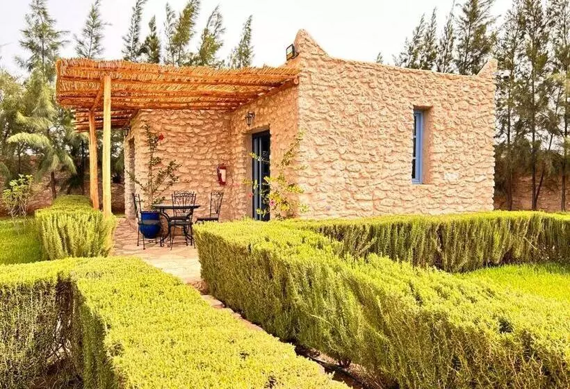 Aamiaismajoitus (B&B) Dar Yanis