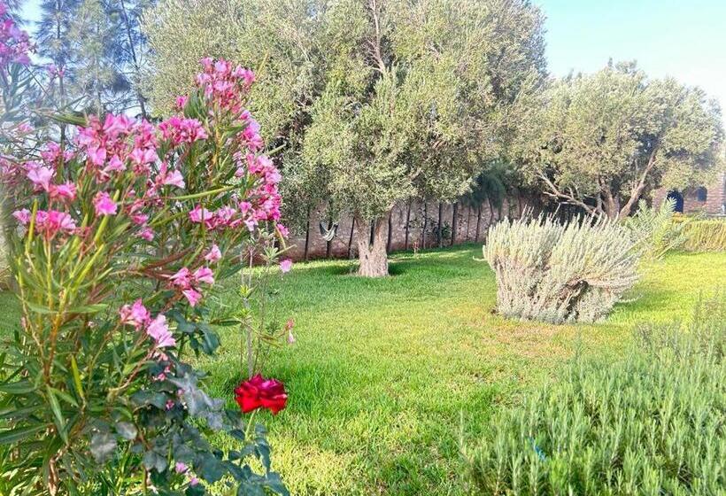 Bed and Breakfast Dar Yanis