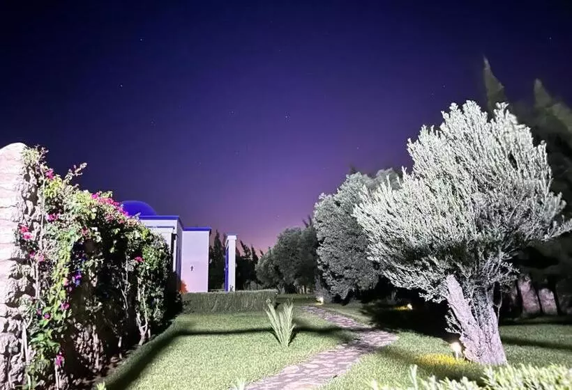 Aamiaismajoitus (B&B) Dar Yanis