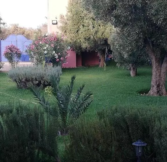 Aamiaismajoitus (B&B) Dar Yanis