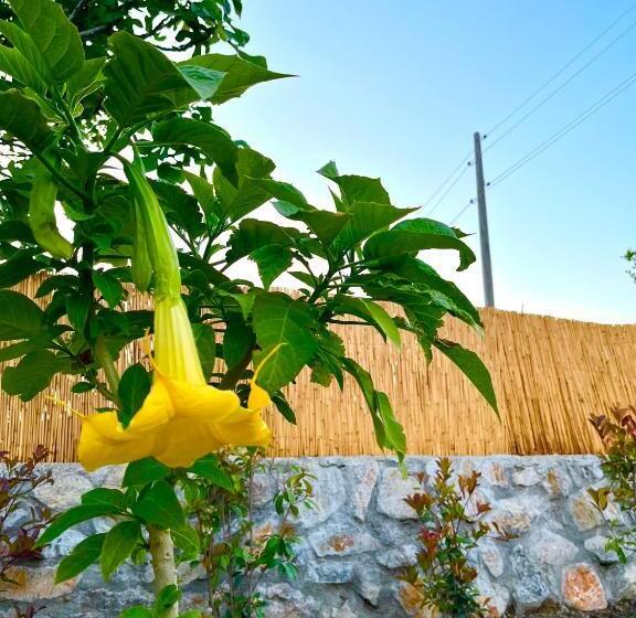 Bi Datça Tatil Evleri Akdeniz