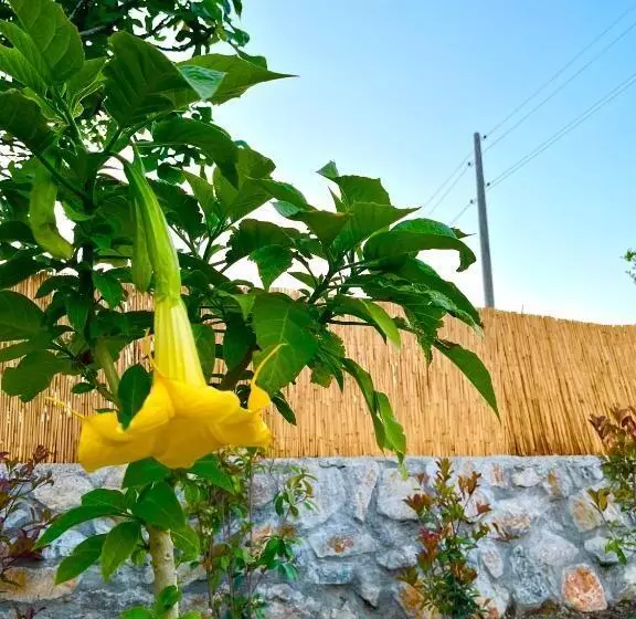 Bi Datça Tatil Evleri Akdeniz