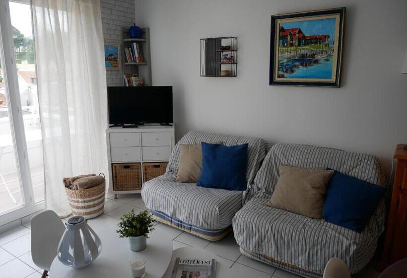 Charmant T2  Coeur De Ville