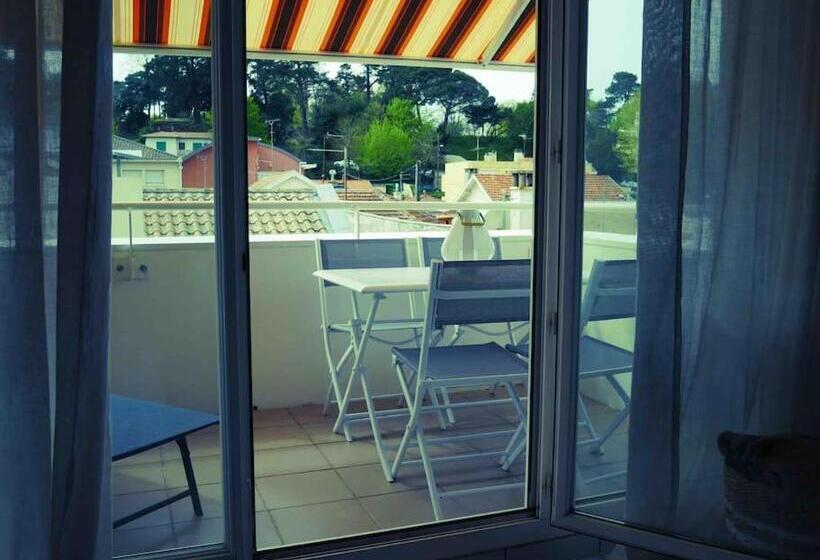 Charmant T2  Coeur De Ville