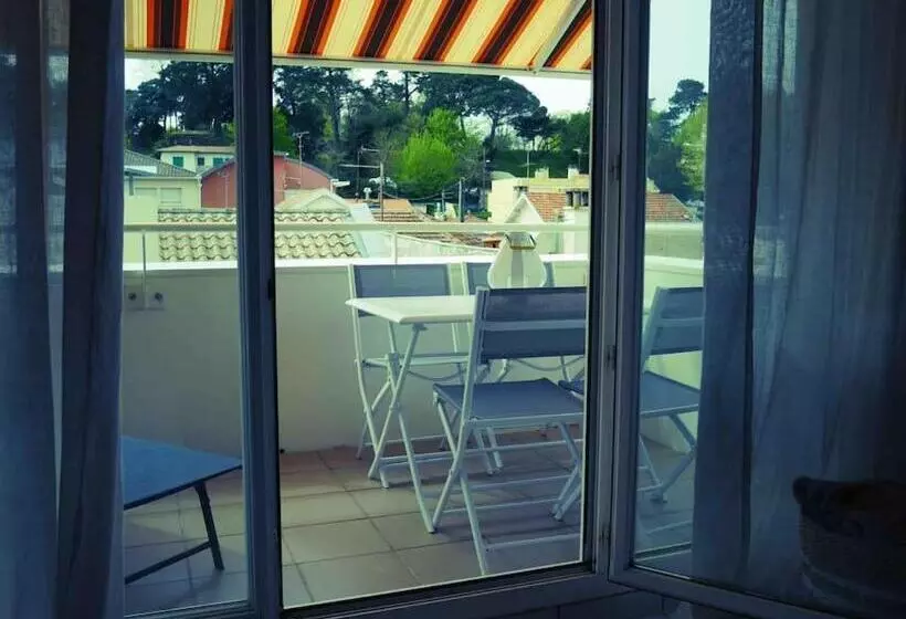 Charmant T2  Coeur De Ville