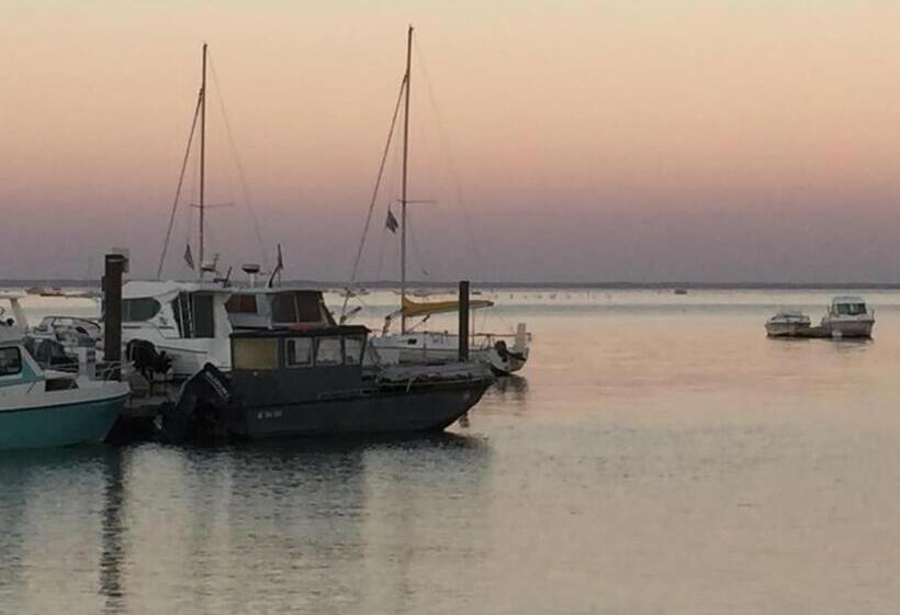 Charmant T2  Coeur De Ville