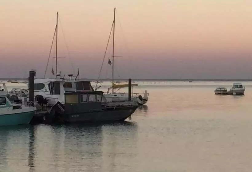 Charmant T2  Coeur De Ville