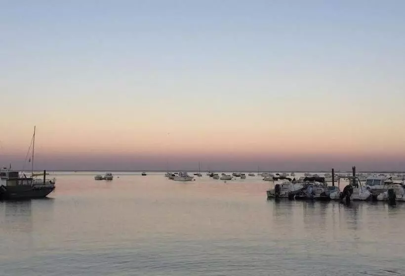 Charmant T2  Coeur De Ville