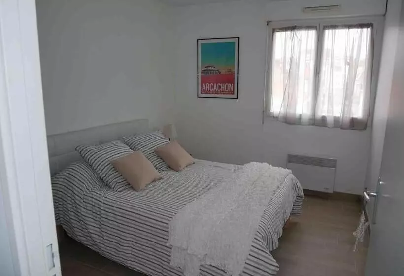 Charmant T2  Coeur De Ville