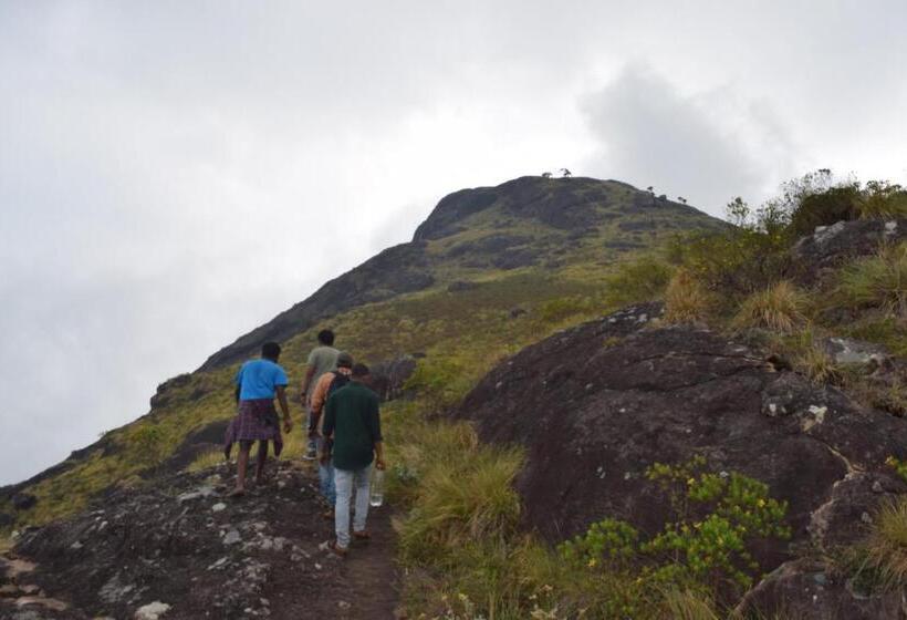 בית מלון כפרי Pepper County Farm Stay