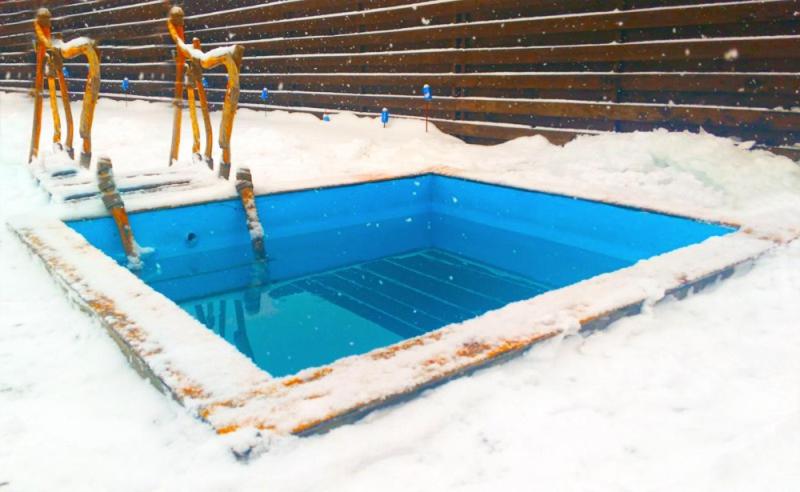 פנסיון дом с сауной и басейном на теремках