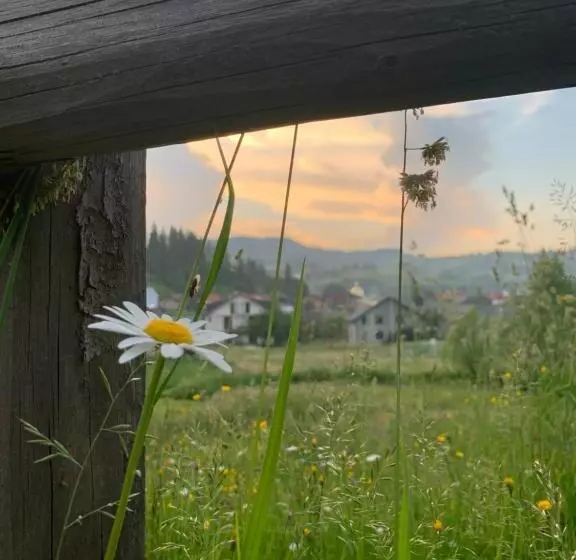 ペンション зоряні карпати