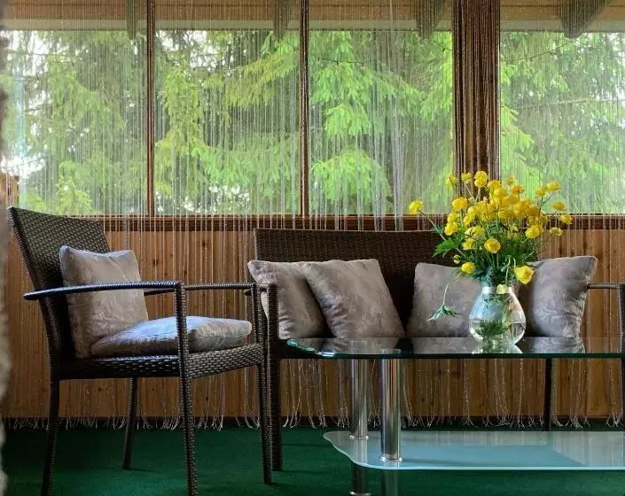 ペンション зоряні карпати