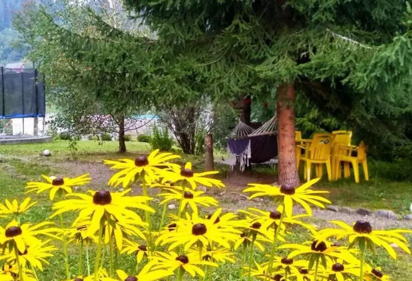 ペンション зоряні карпати