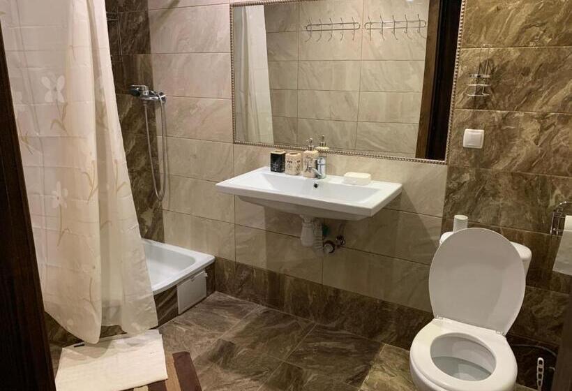 Pensiune зоряні карпати