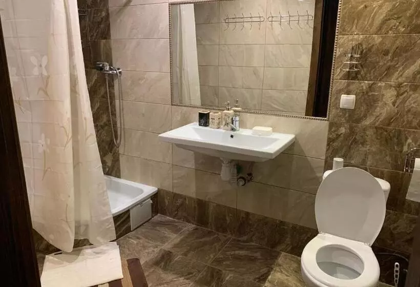 ペンション зоряні карпати