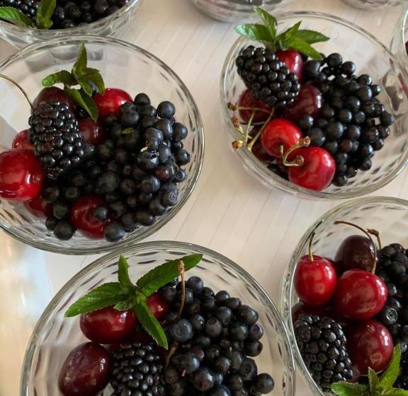 Pensiune зоряні карпати