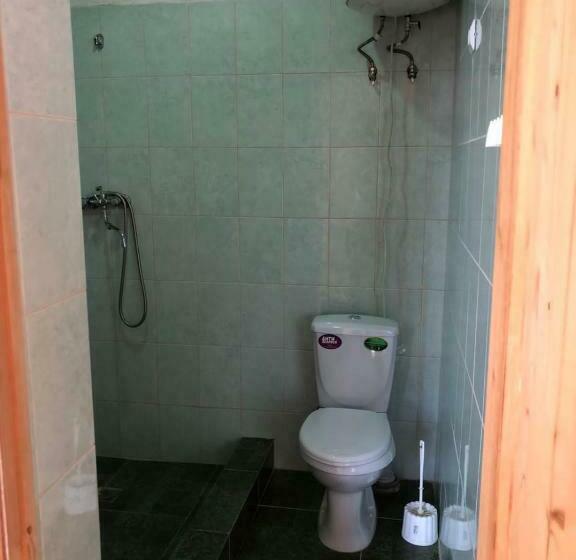 پانسیون данат