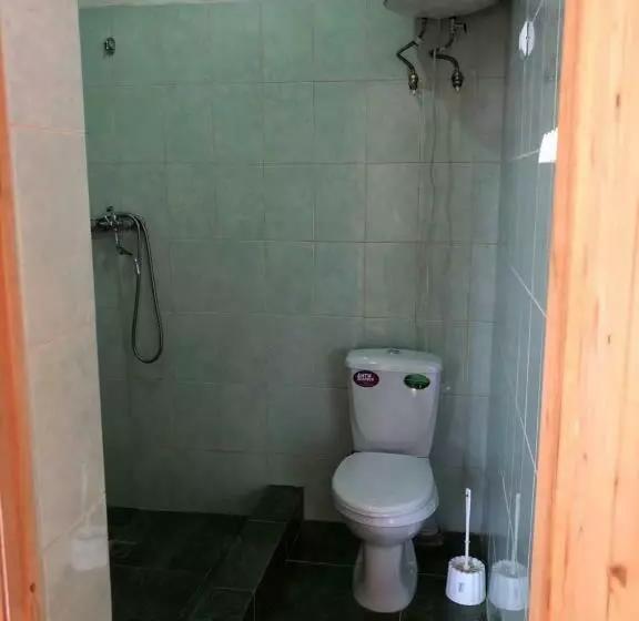 پانسیون данат