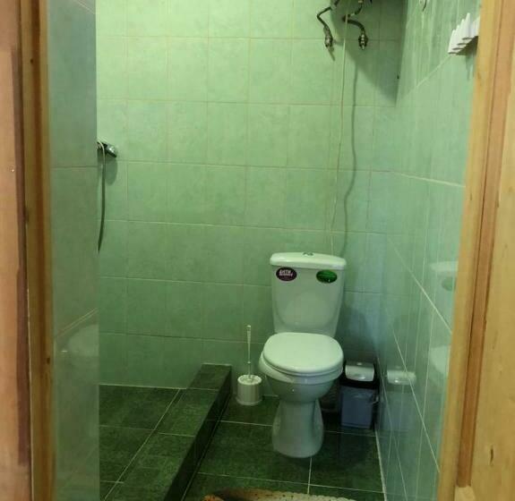 پانسیون данат