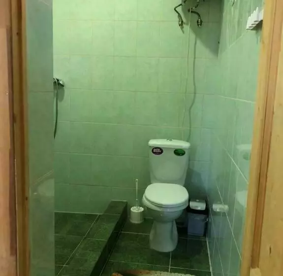 پانسیون данат