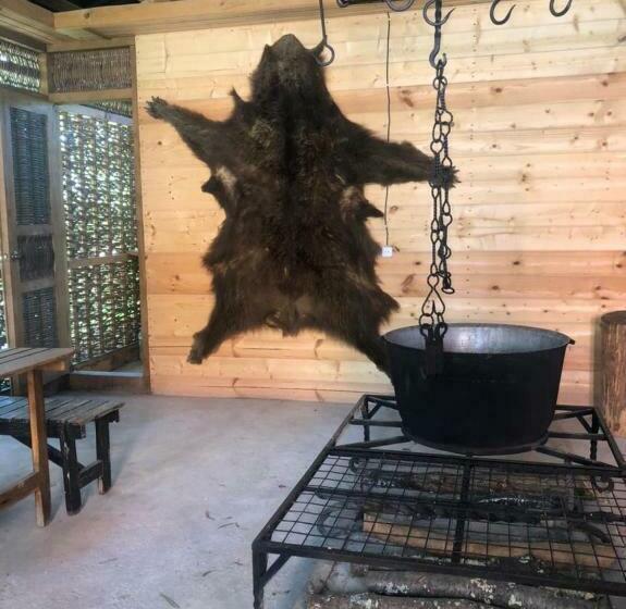 پانسیون данат