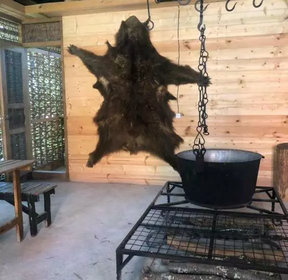 پانسیون данат