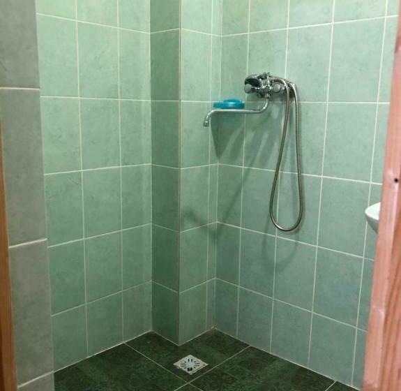 پانسیون данат