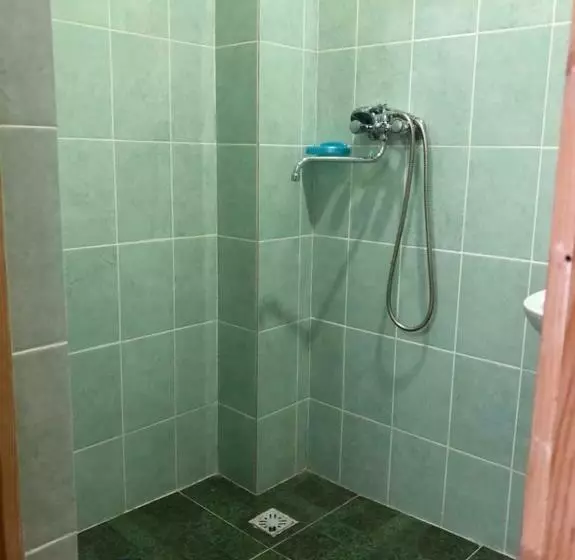 پانسیون данат